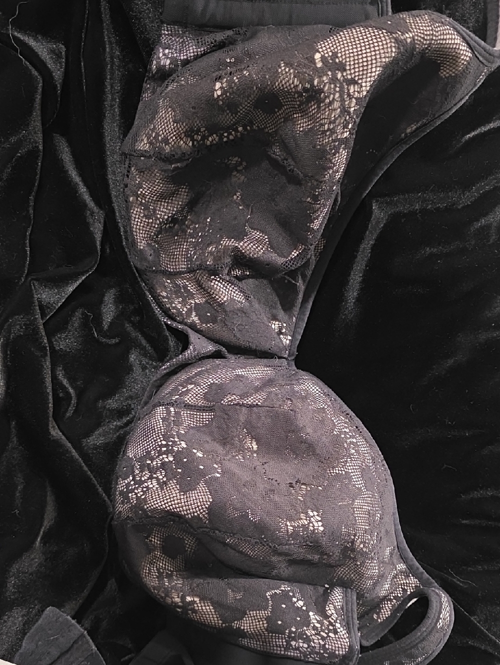 Cacique Black Lace Balconette Underwire Bra 44F